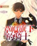 这才是草帽团的真正实力