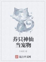养个神仙玩儿破解版