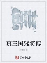 真三国猛将传武器属性