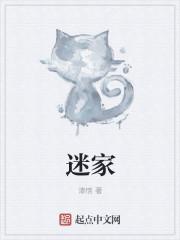 迷家有婆游戏安卓版
