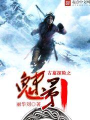 古墓探险家