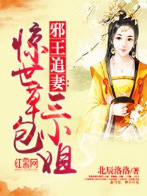 邪王追妻惊世草包三小姐简介