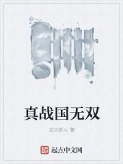 战国无双5武器属性搭配