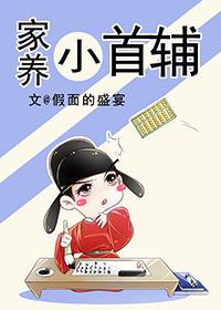 家养小首辅TXT奇书网