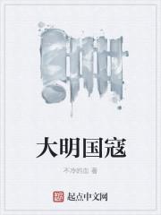 大明流寇123