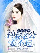 隐婚神秘老公txt