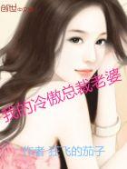 我的冷傲总裁老婆txt