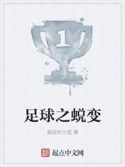 足球之蜕变 凝固的火焰
