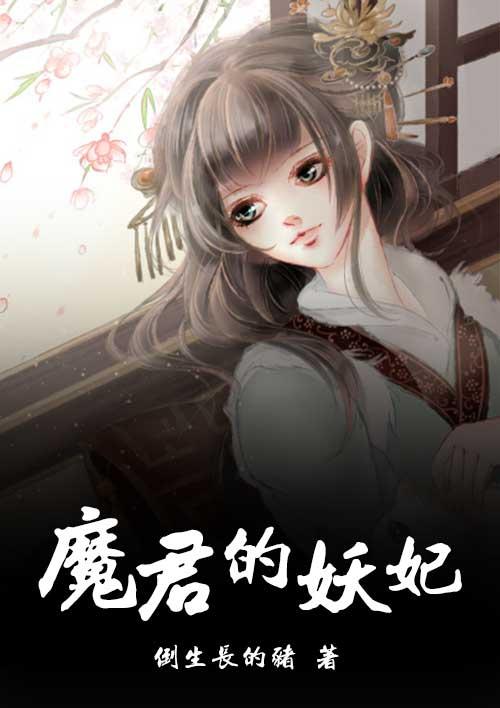 魔君的宠姬作者迟迟